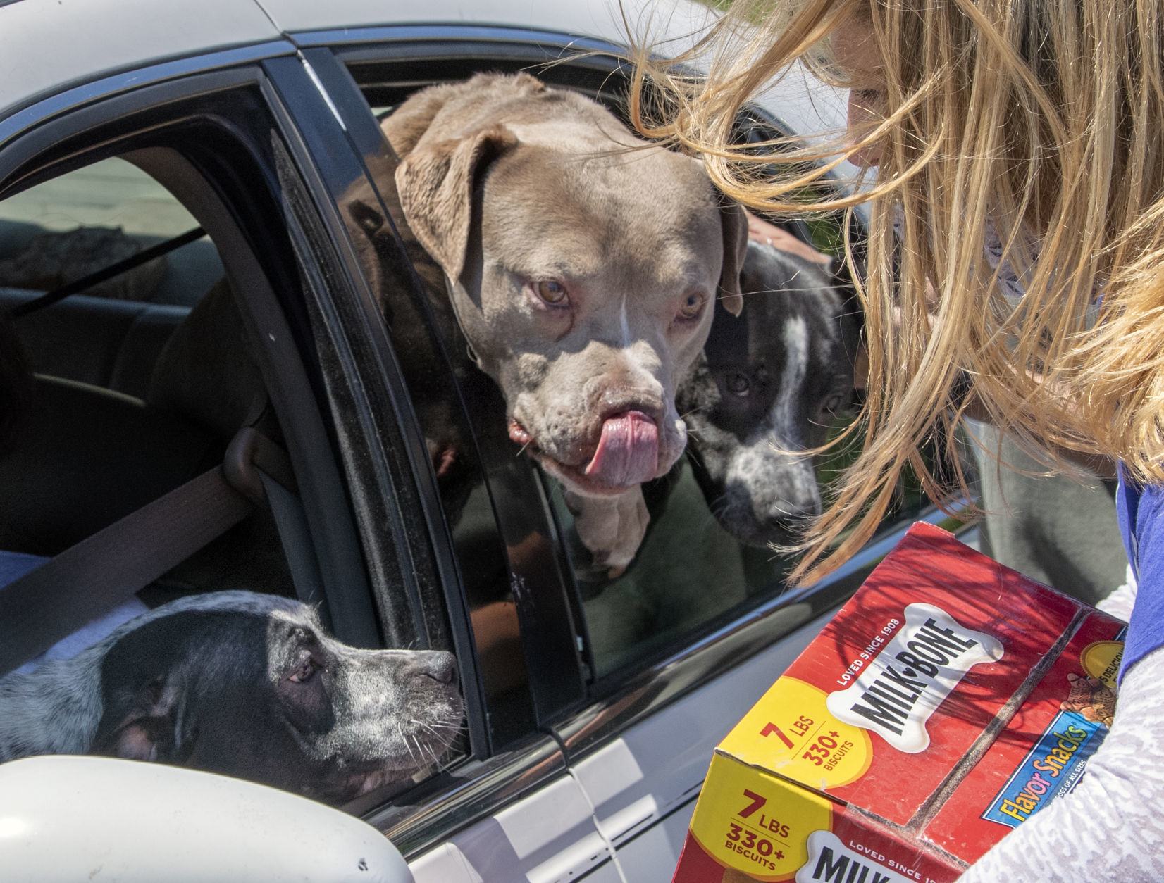 dp_Pet Food_05092001